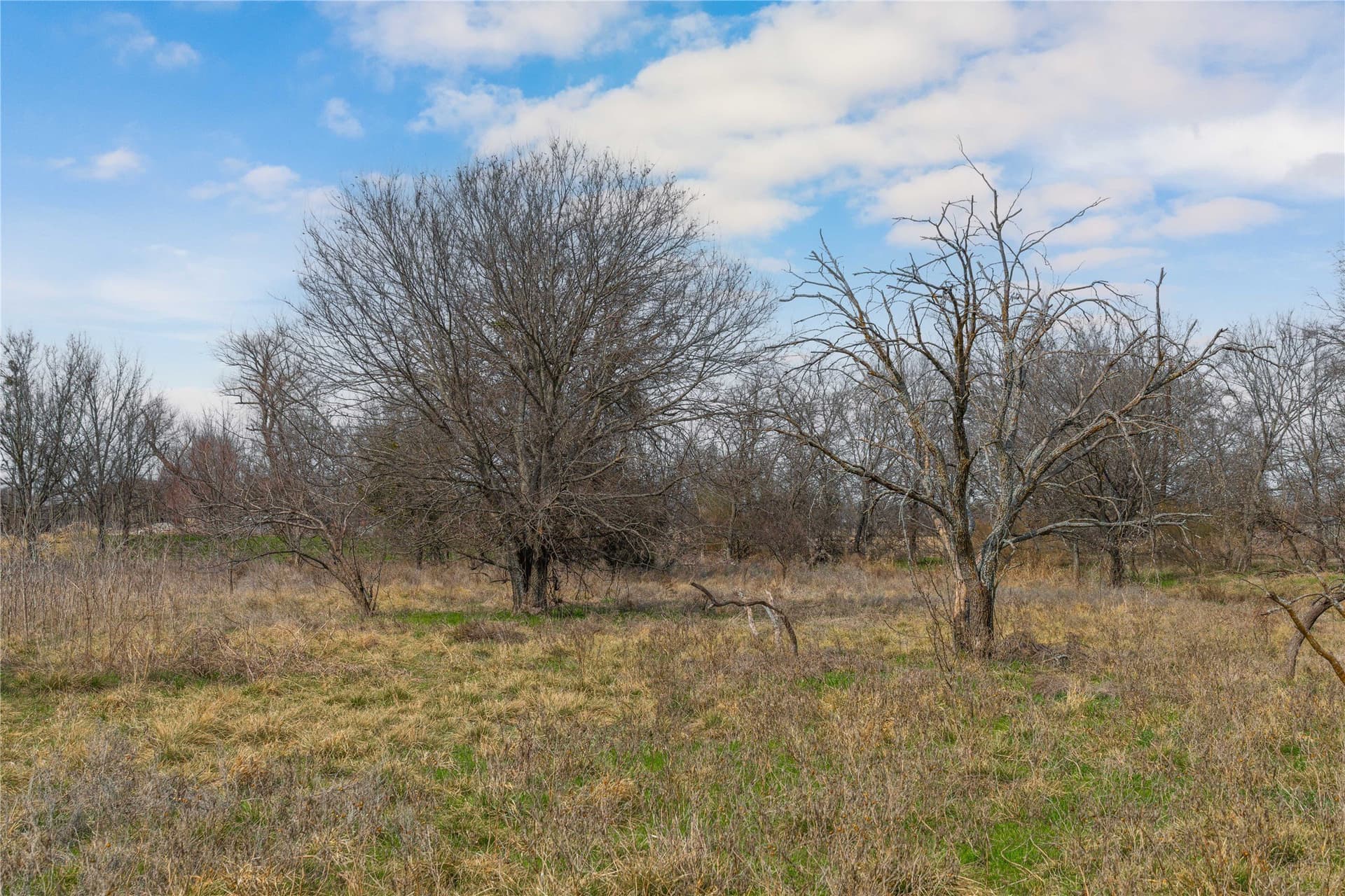 4 acres in Comanche County - photo 14