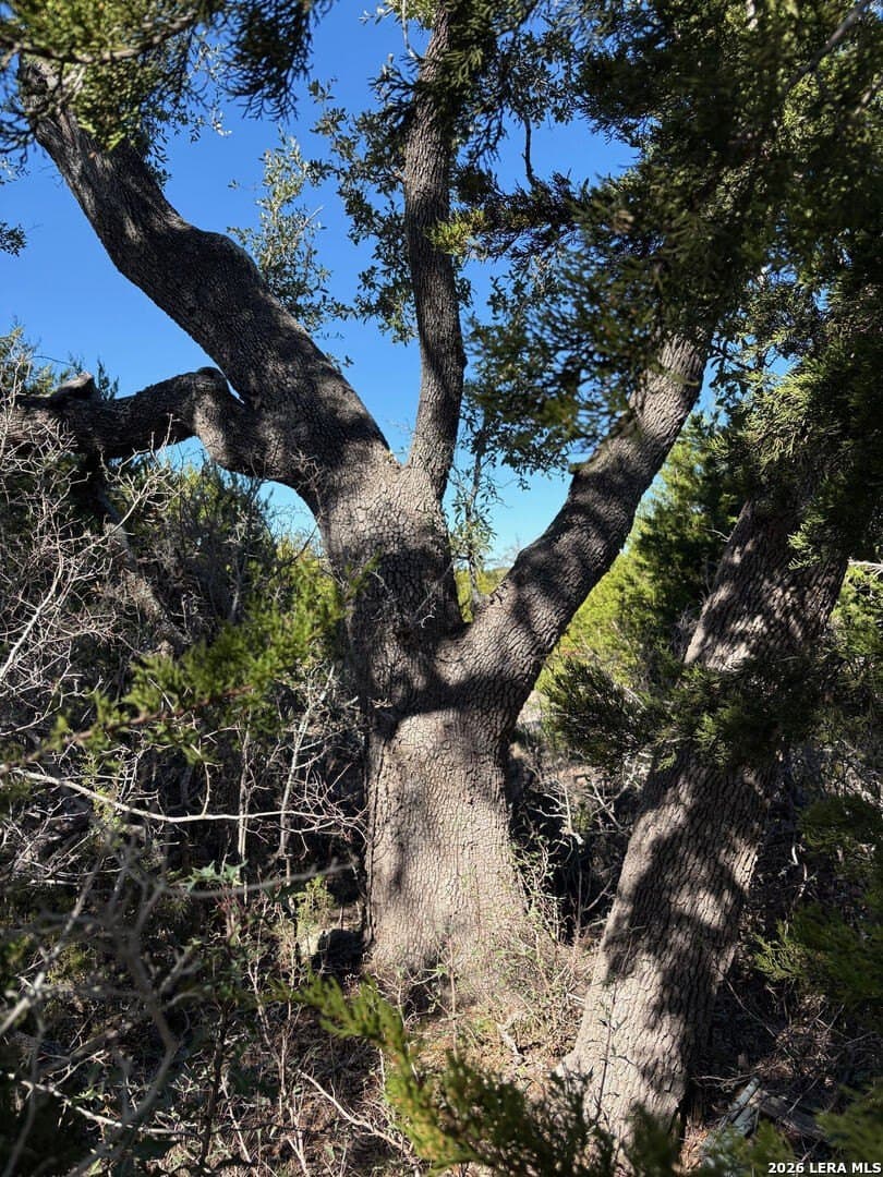 4.52 acres in Comal County - photo 7