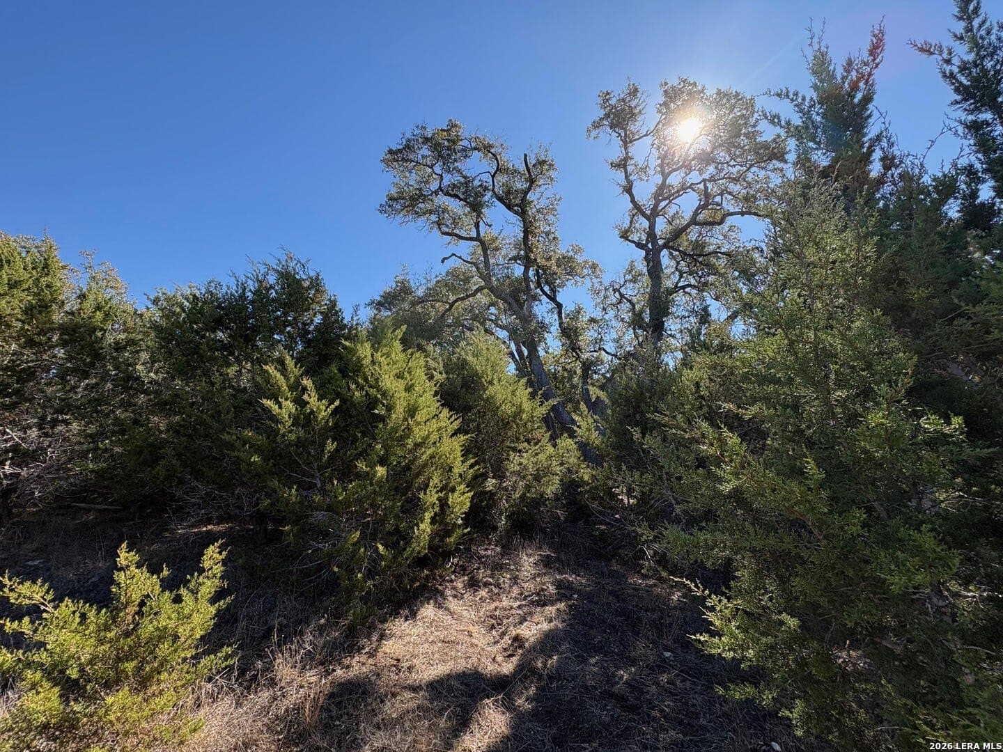 4.52 acres in Comal County - photo 10