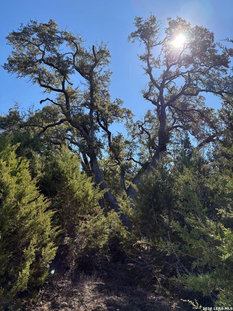 4.52 acres in Comal County - photo 9