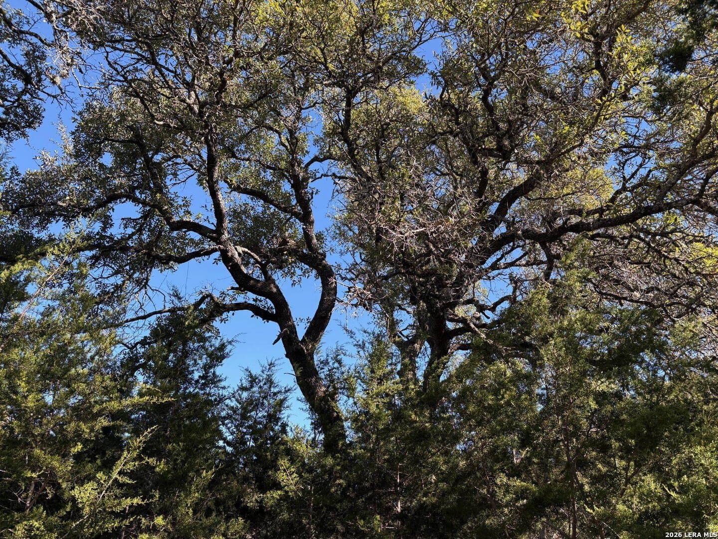 4.52 acres in Comal County - photo 6