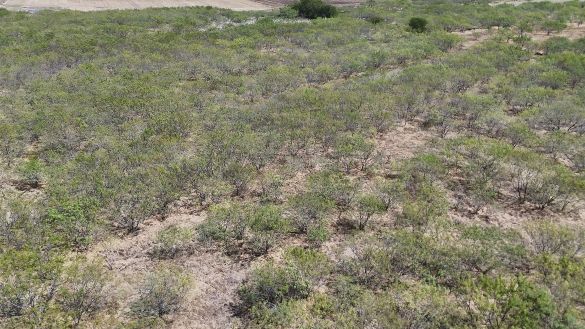 12.91 acres in Hill County - photo 7