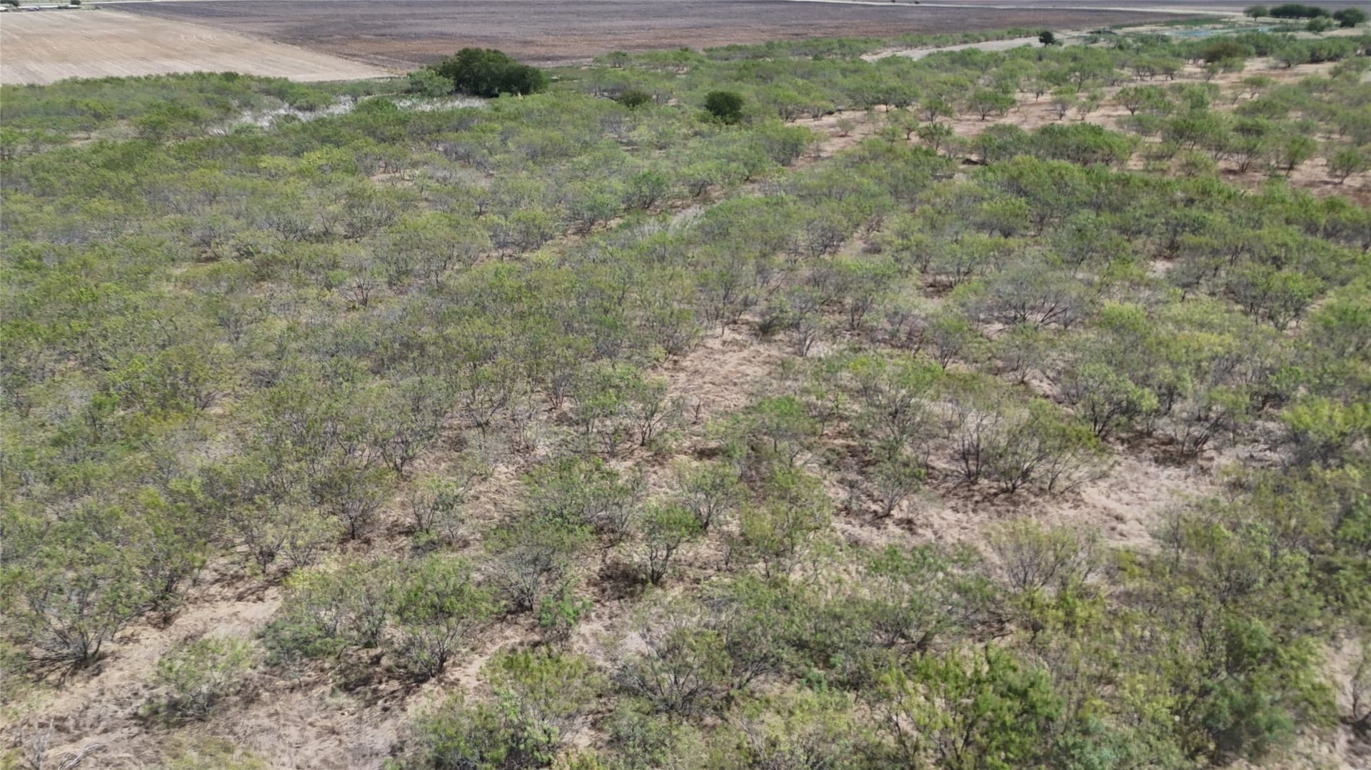 12.91 acres in Hill County - photo 6