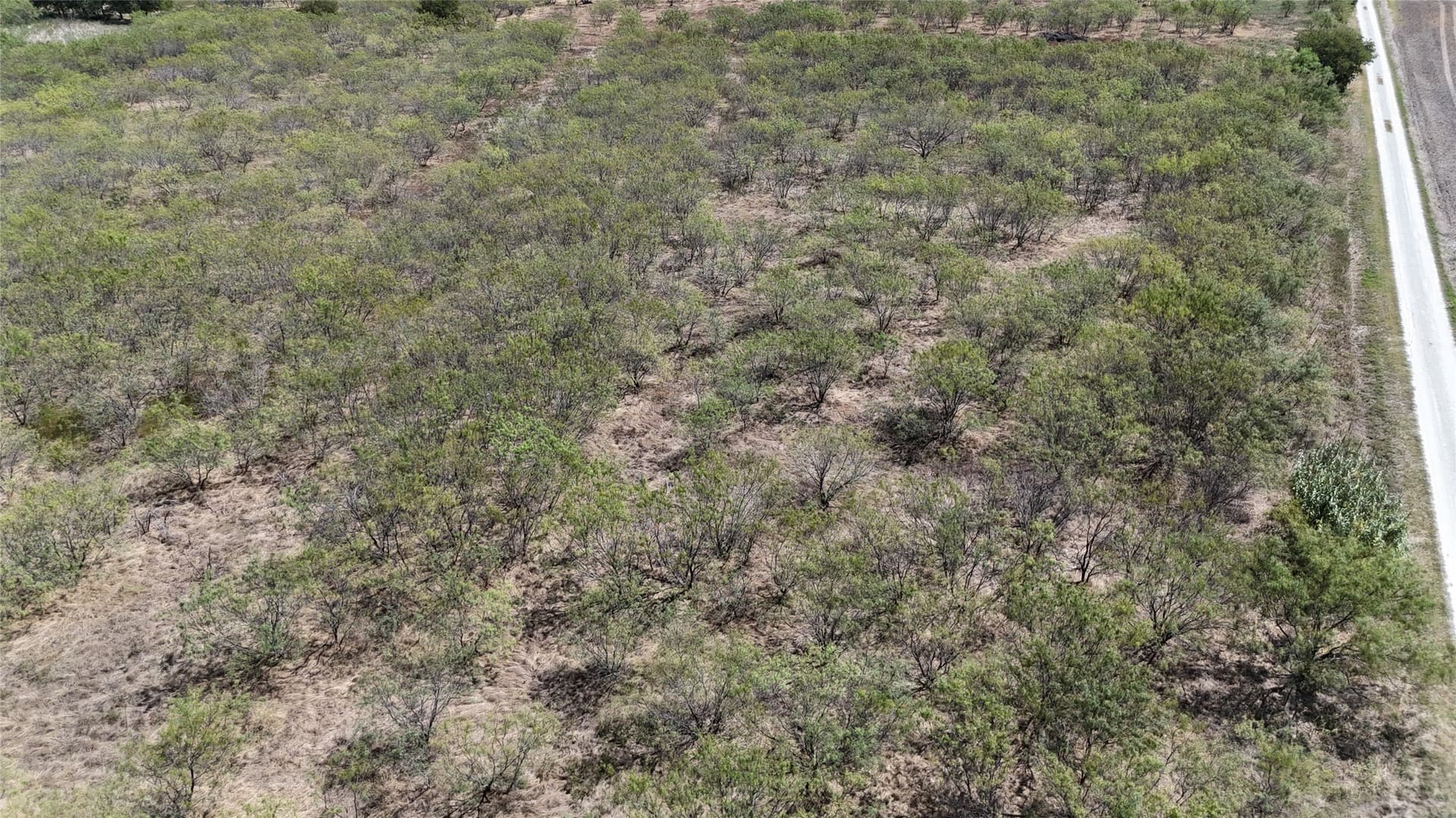 12.91 acres in Hill County - photo 9