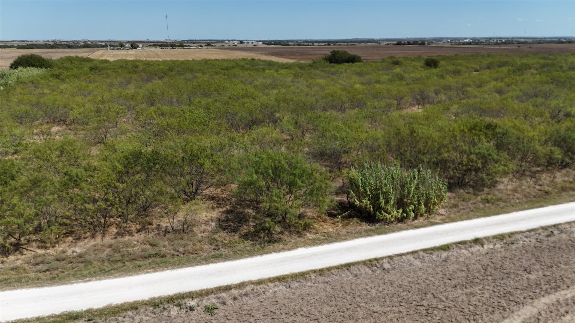 12.91 acres in Hill County - photo 4
