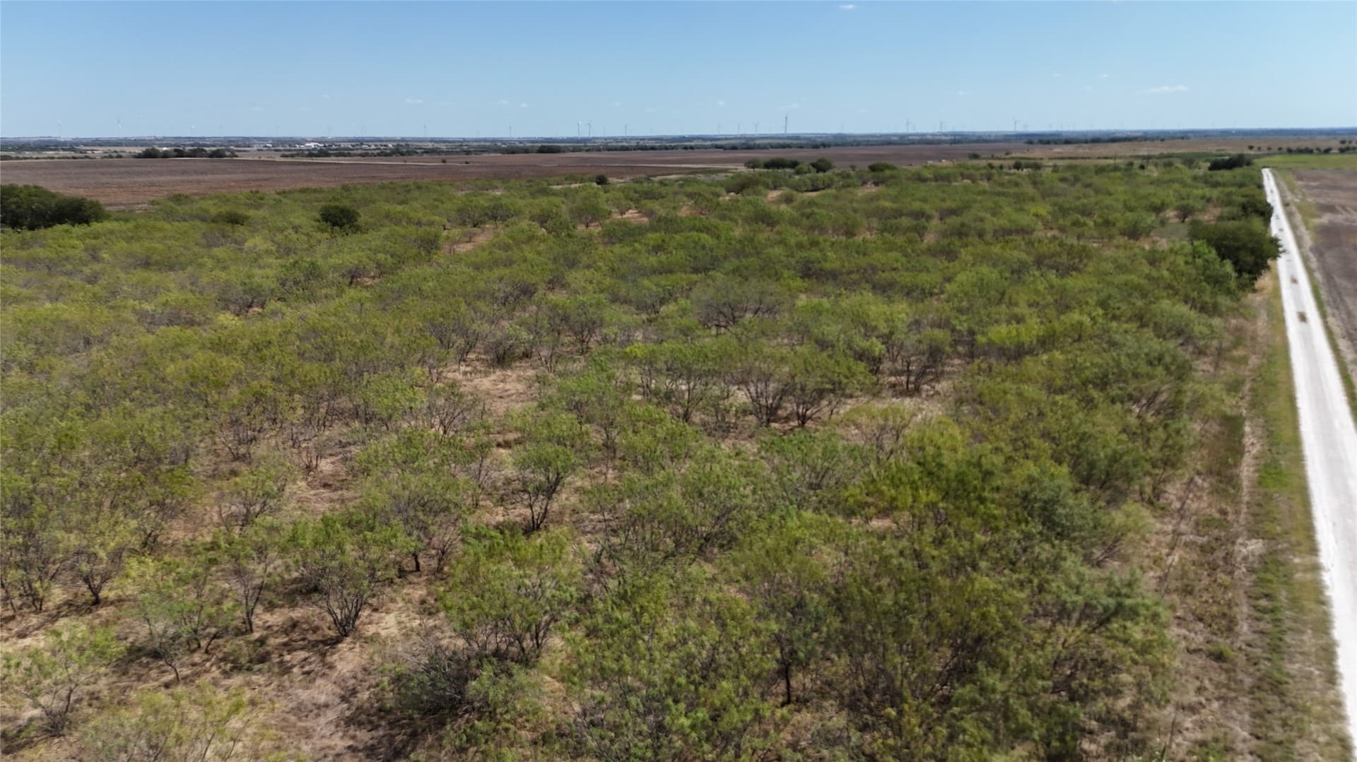 12.91 acres in Hill County - photo 2