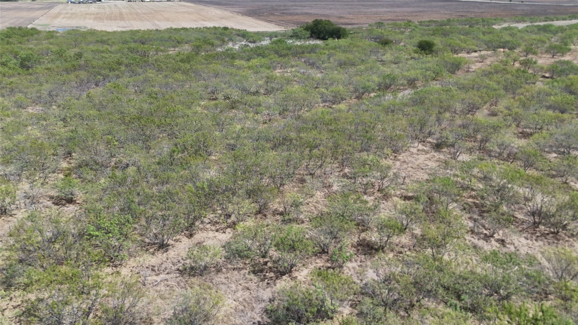12.91 acres in Hill County - photo 5