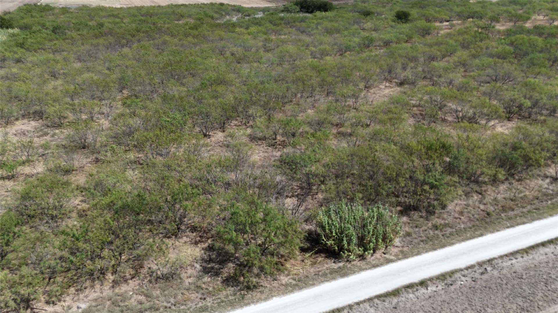 12.91 acres in Hill County - photo 8