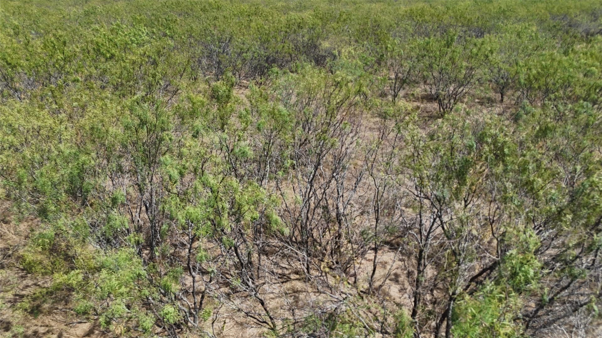 12.91 acres in Hill County - photo 3