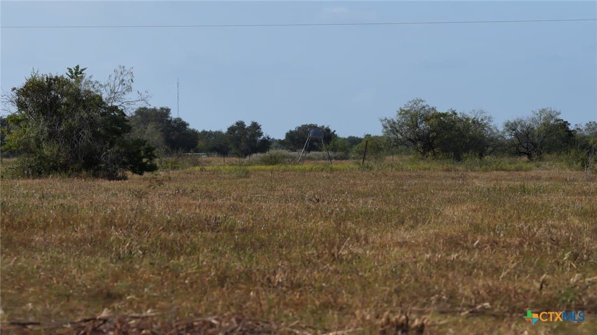 106.24 acres in Refugio County - photo 4