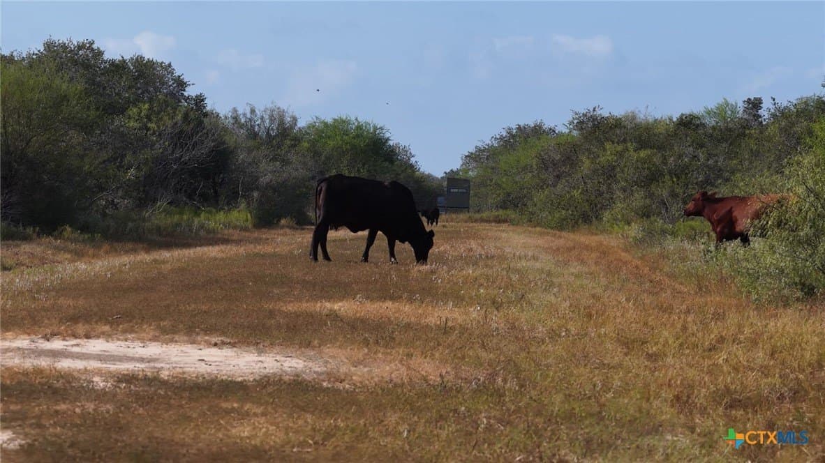 106.24 acres in Refugio County - photo 18