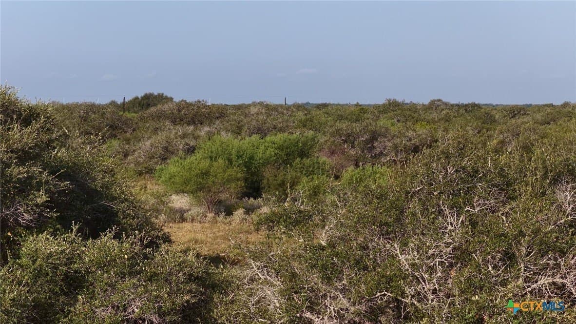 106.24 acres in Refugio County - photo 9