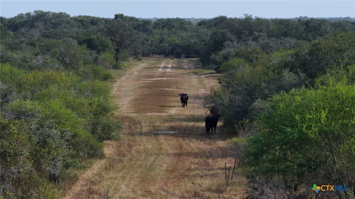 106.24 acres in Refugio County - photo 13