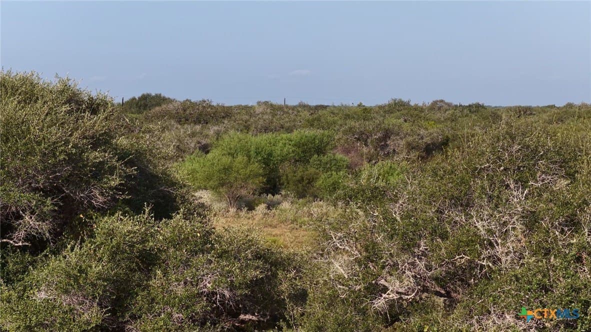 106.24 acres in Refugio County - photo 8