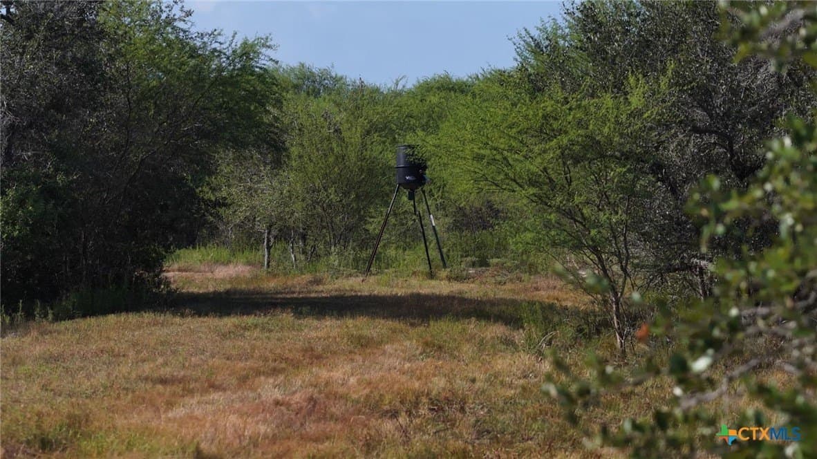 106.24 acres in Refugio County - photo 17