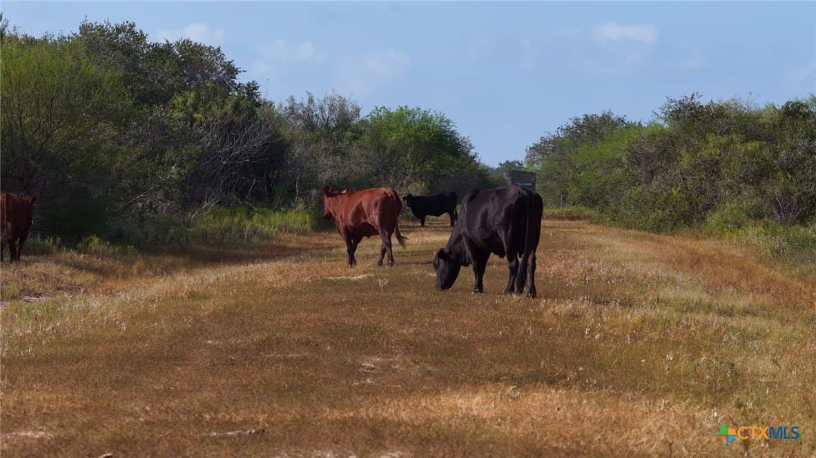 106.24 acres in Refugio County - photo 19