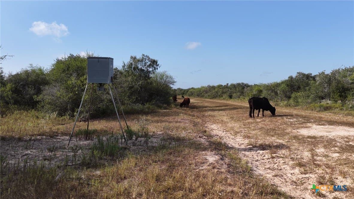 106.24 acres in Refugio County - photo 2
