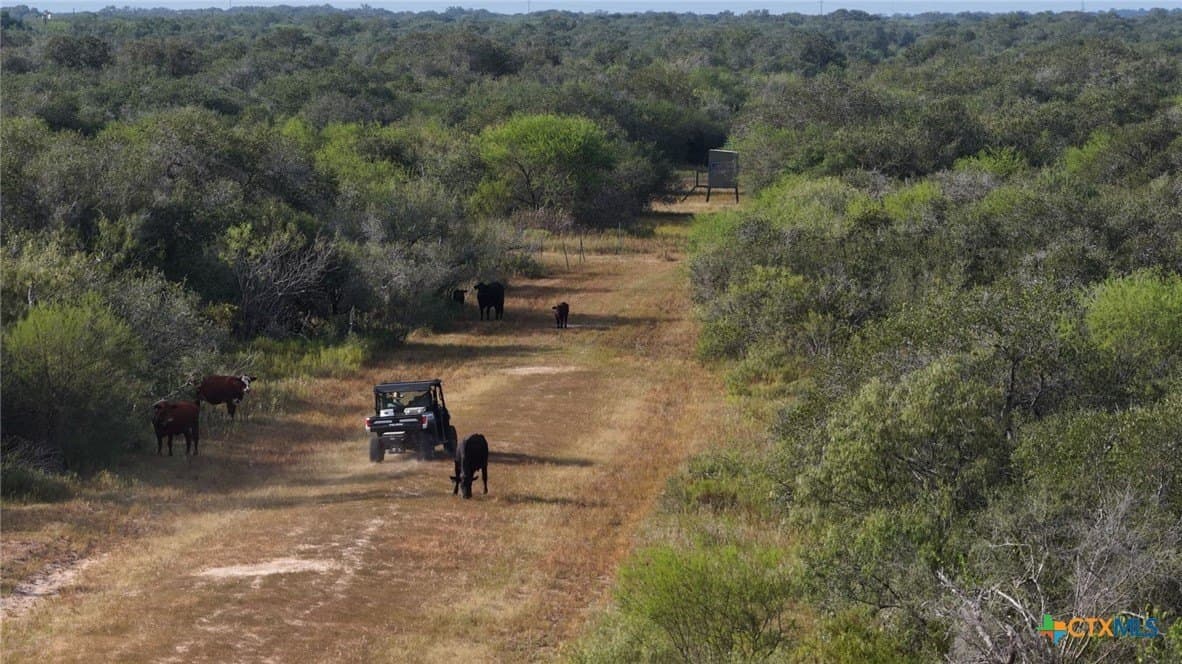 106.24 acres in Refugio County - photo 37