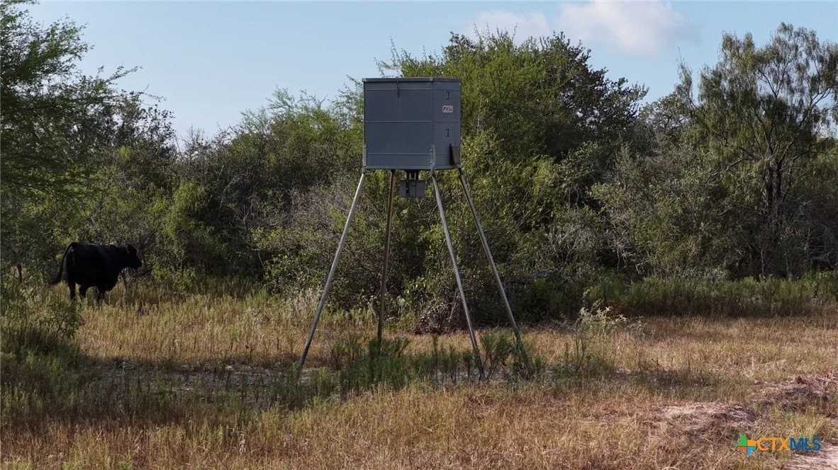 106.24 acres in Refugio County - photo 16