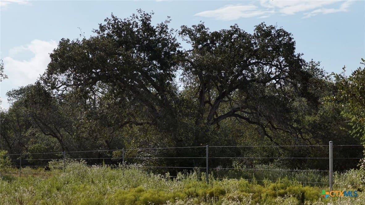 106.24 acres in Refugio County - photo 7