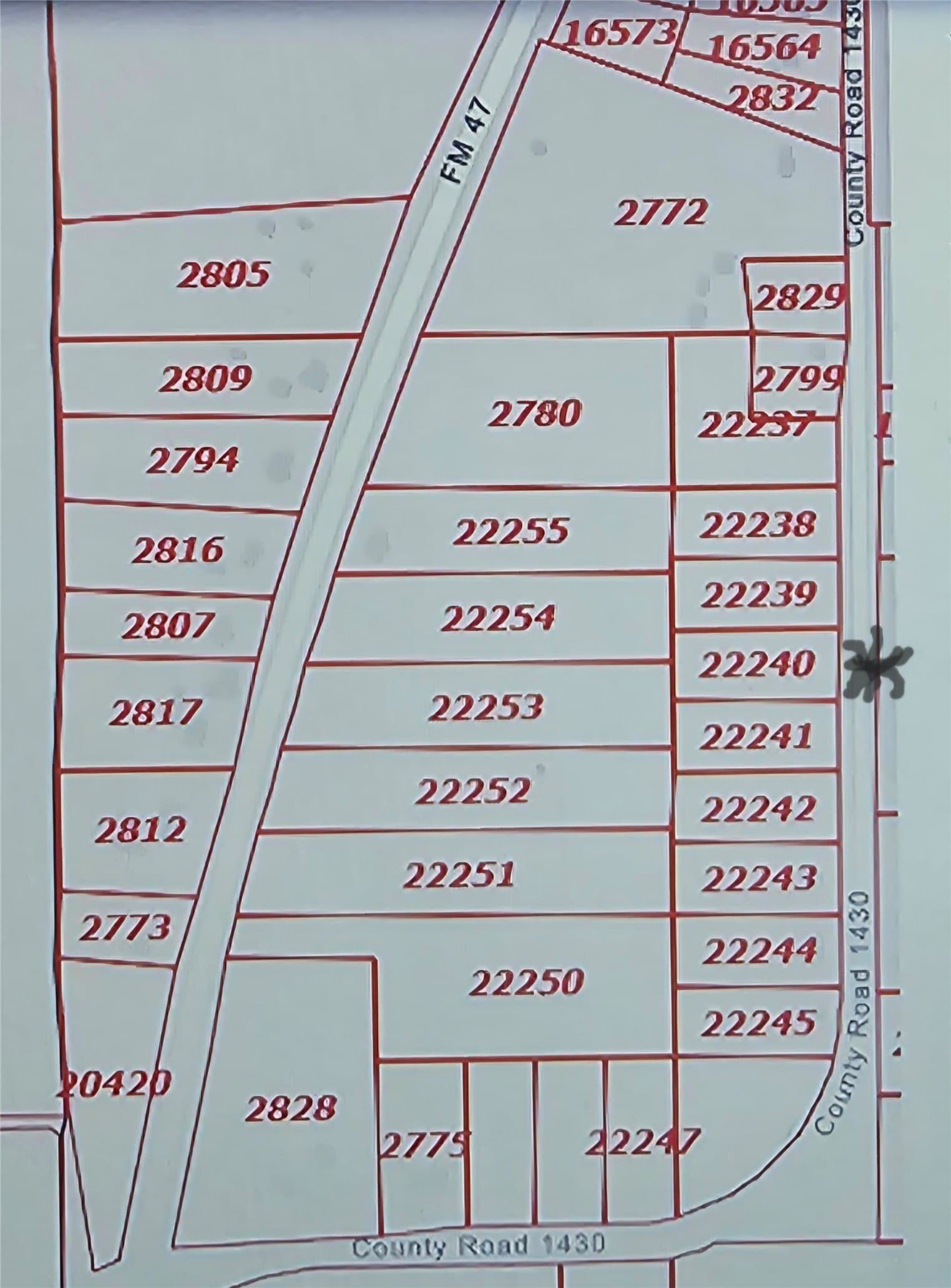 1.5 acres in Rains County gallery image 3