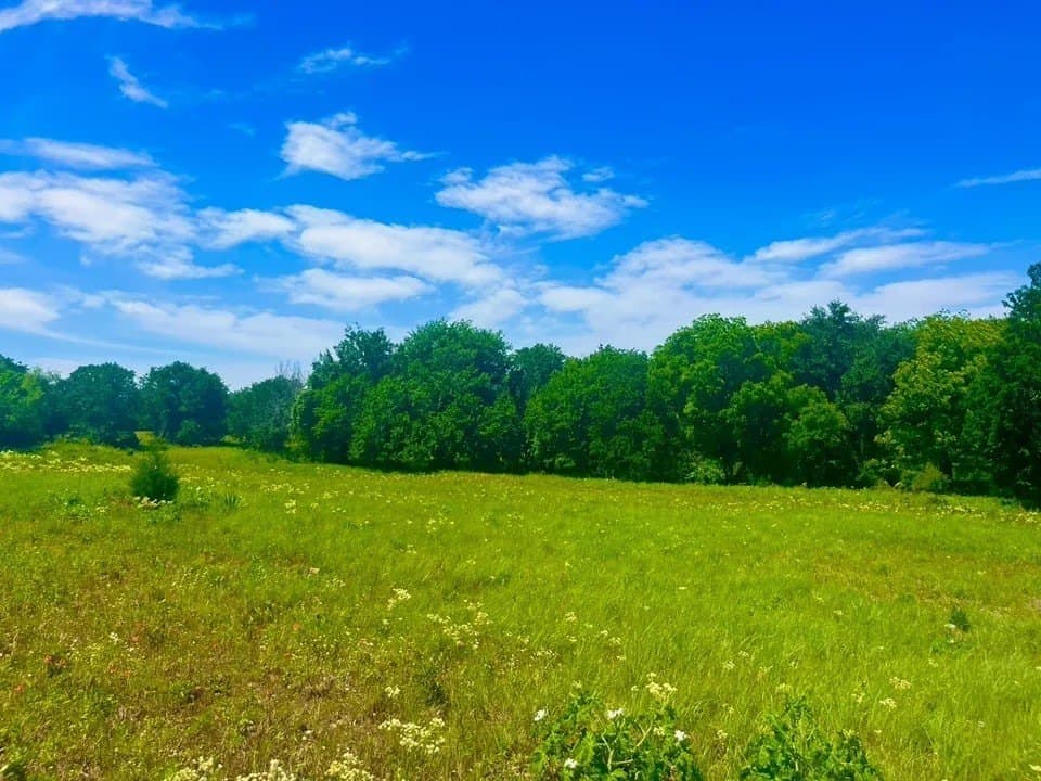 2.14 acres in Parker County - photo 2