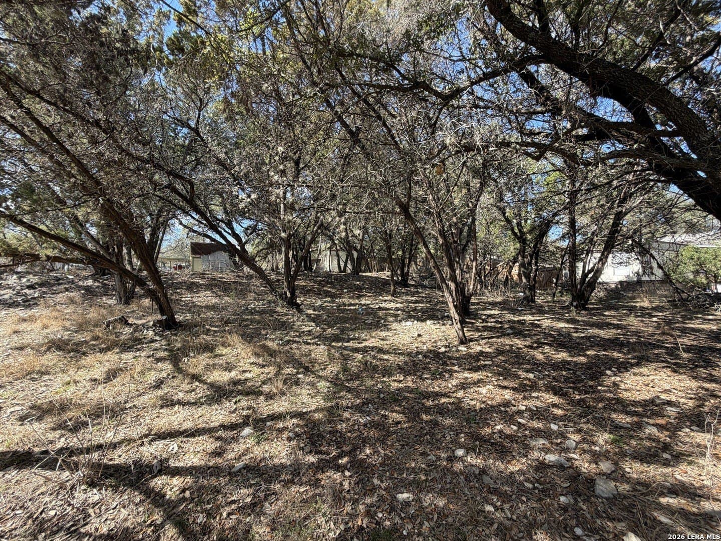 0.23 acres in Comal County gallery image 3