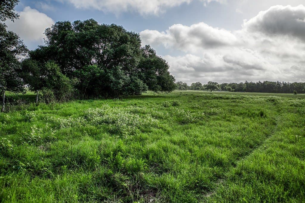 12.4 acres in Fayette County - photo 11