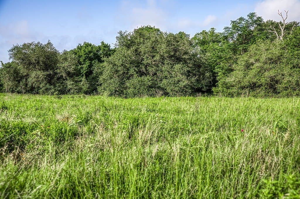 12.4 acres in Fayette County - photo 6