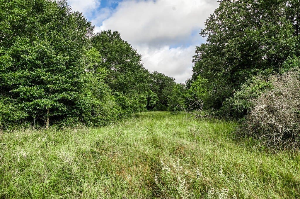 12.4 acres in Fayette County - photo 14