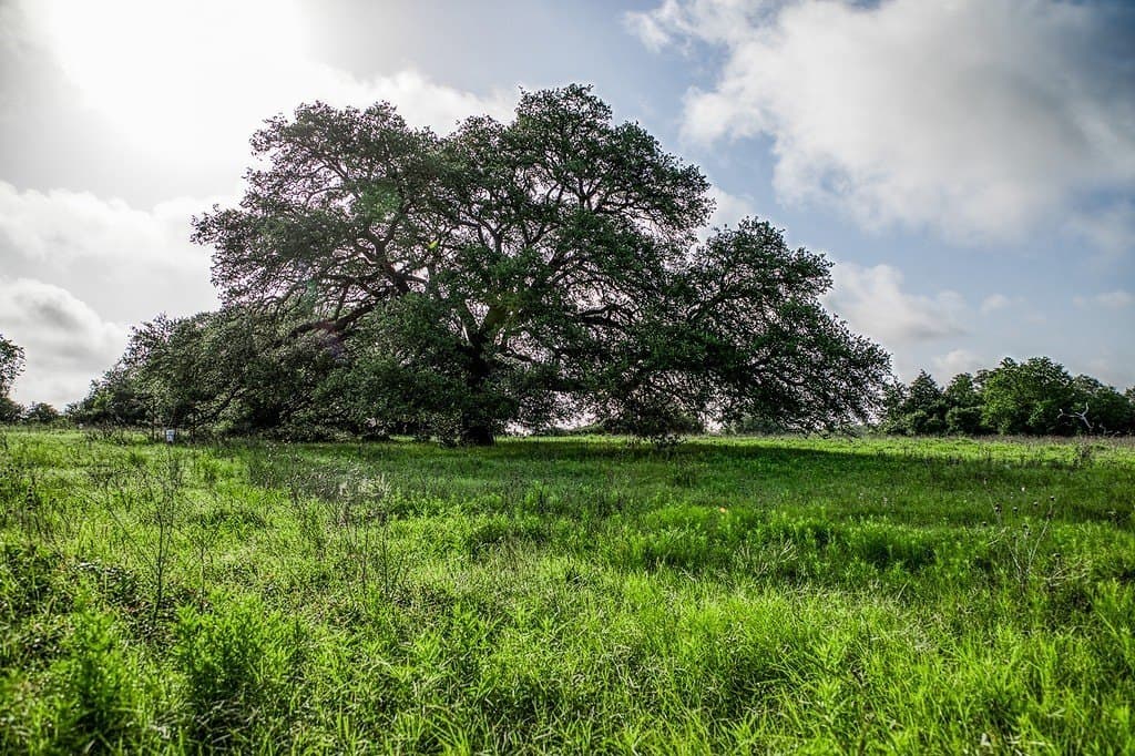 12.4 acres in Fayette County - photo 7