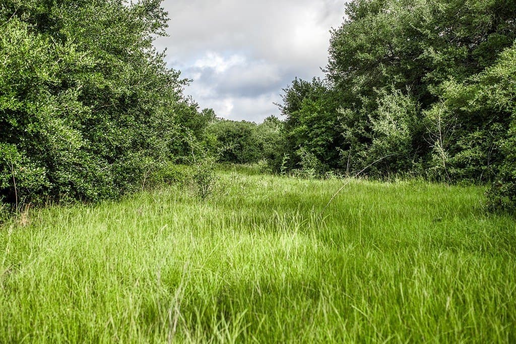 12.4 acres in Fayette County - photo 15