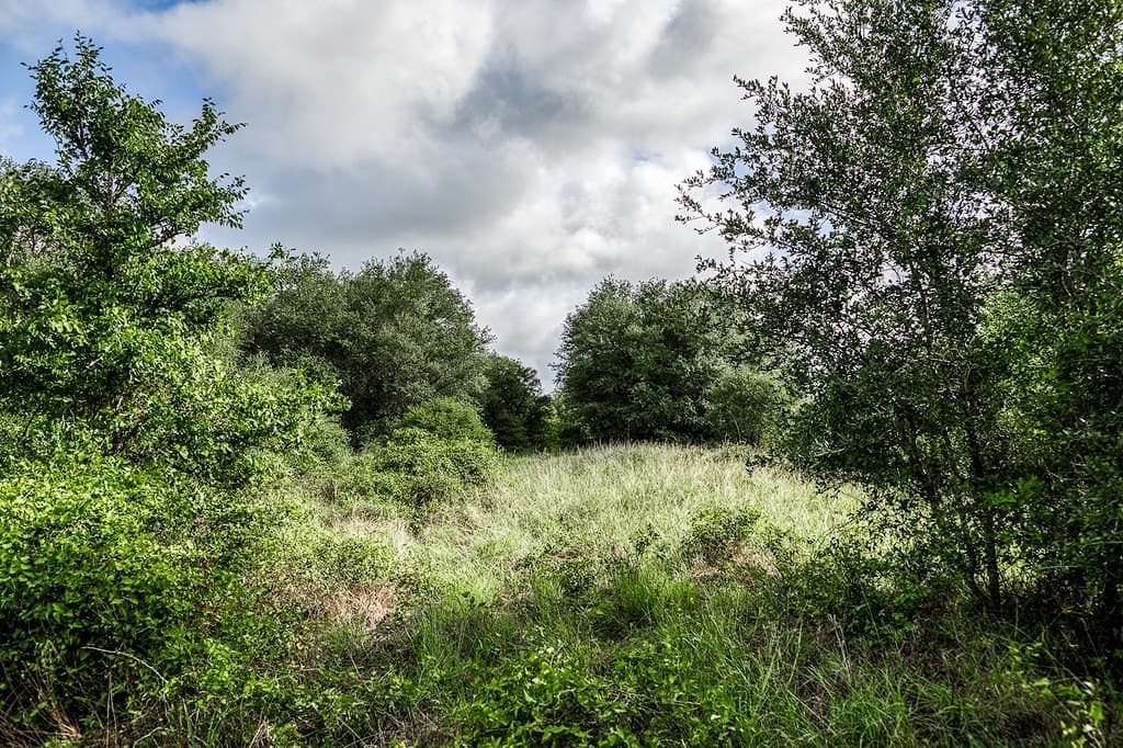 12.4 acres in Fayette County - photo 16