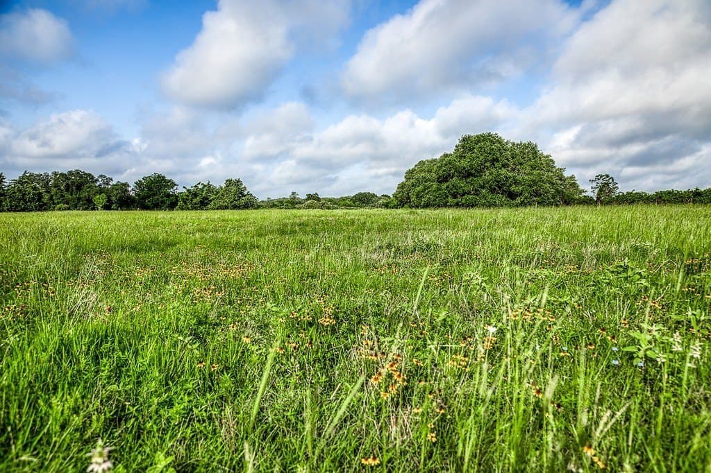 12.4 acres in Fayette County - photo 12