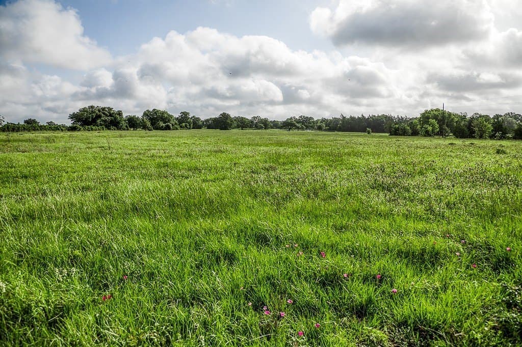 12.4 acres in Fayette County - photo 13