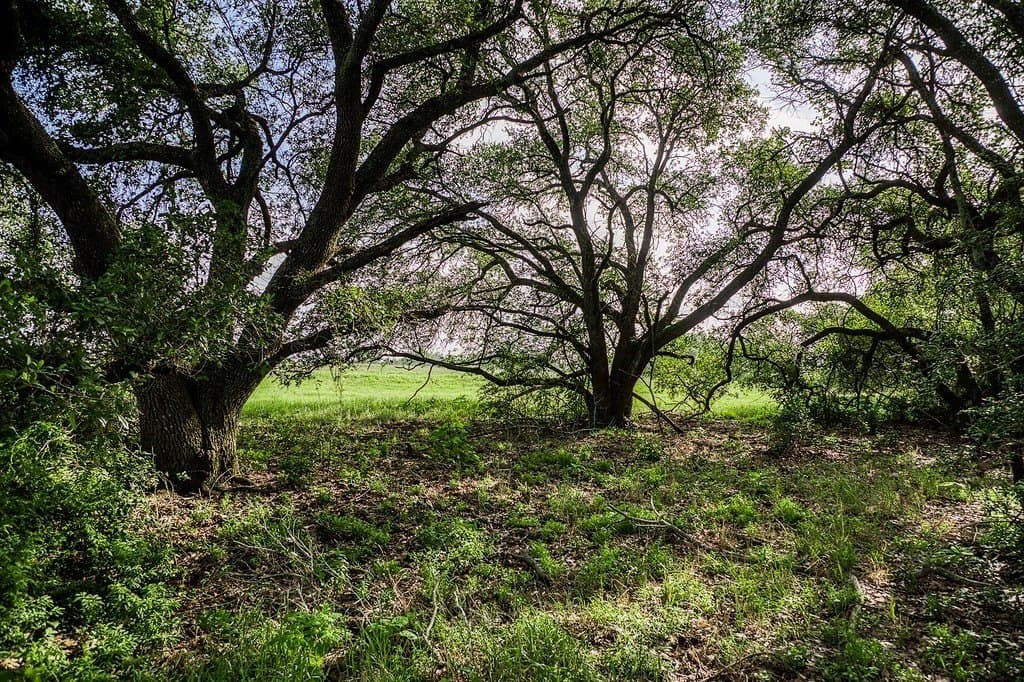 12.4 acres in Fayette County - photo 10