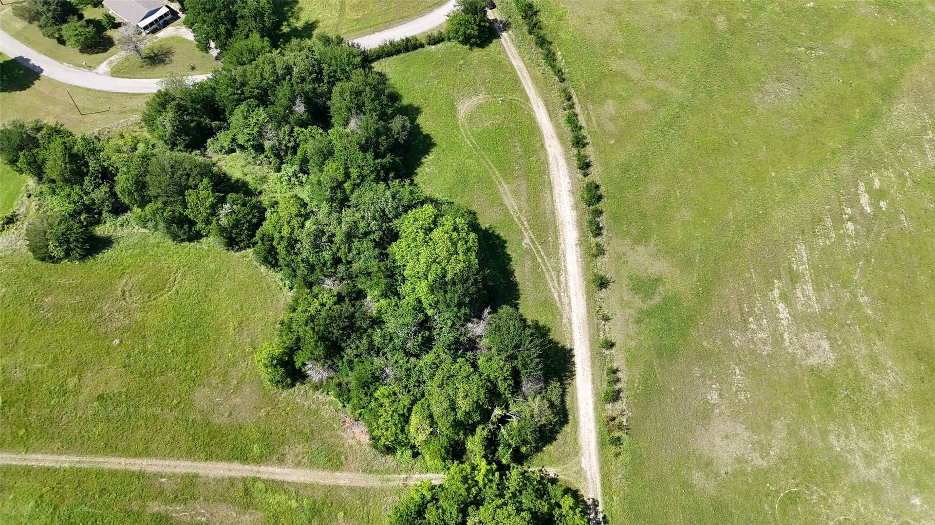 0.79 acres in Rains County - photo 12
