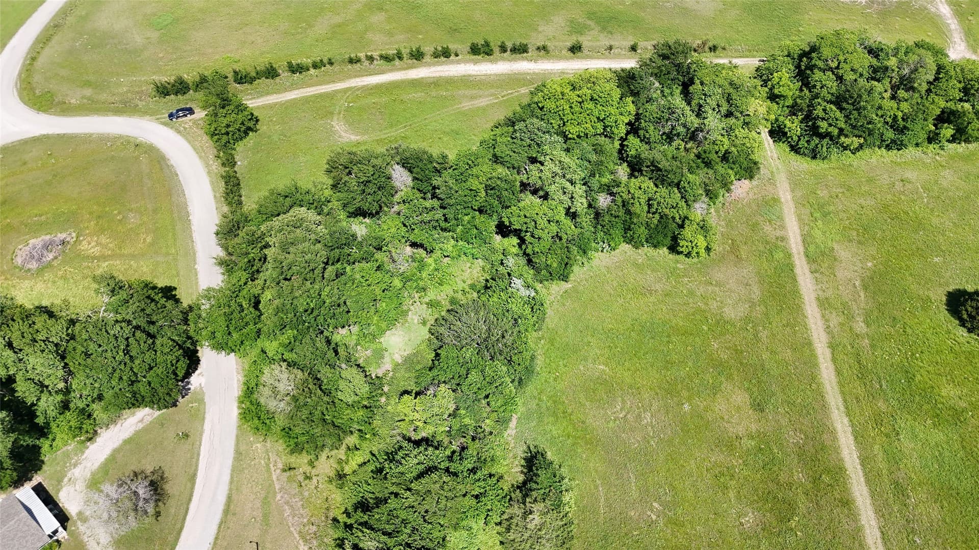 0.79 acres in Rains County - photo 16