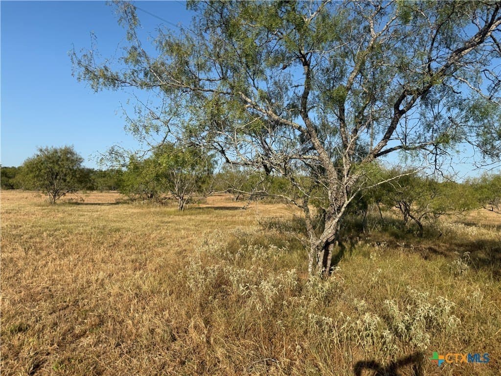 11.6 acres in Wilson County - photo 9