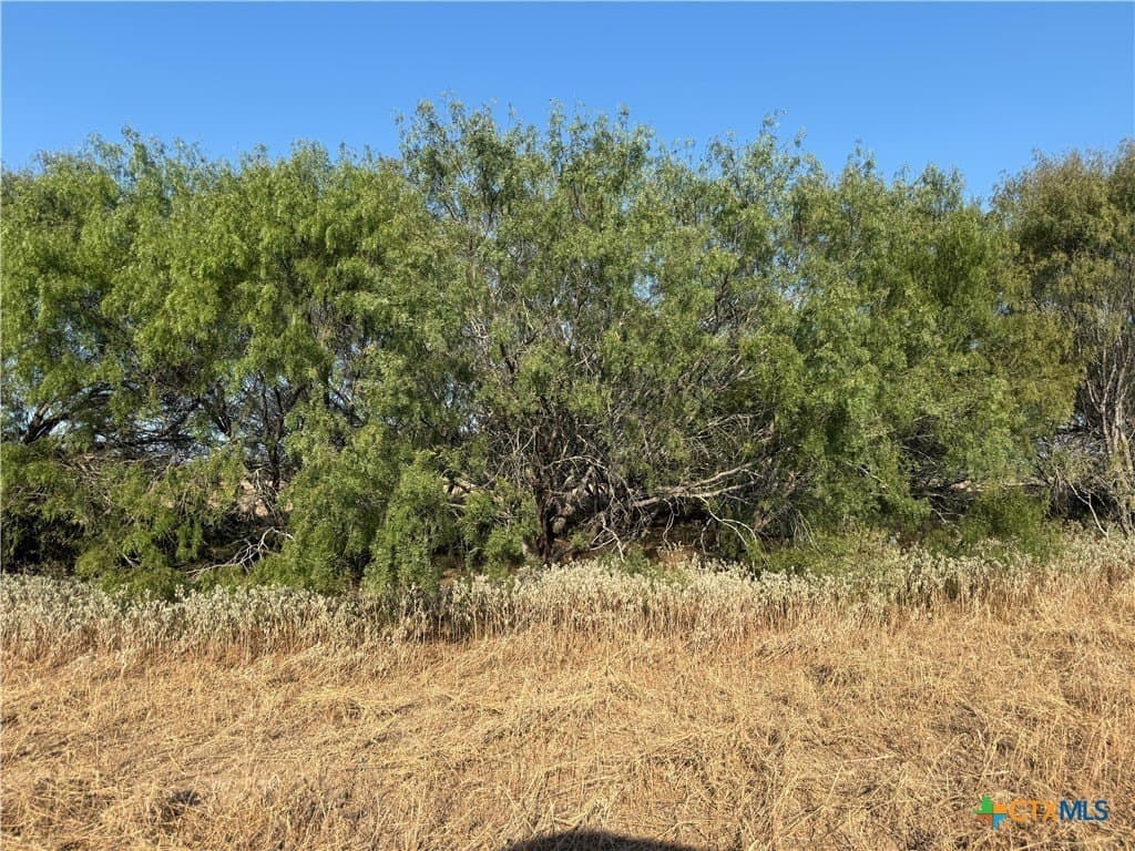 11.6 acres in Wilson County - photo 7