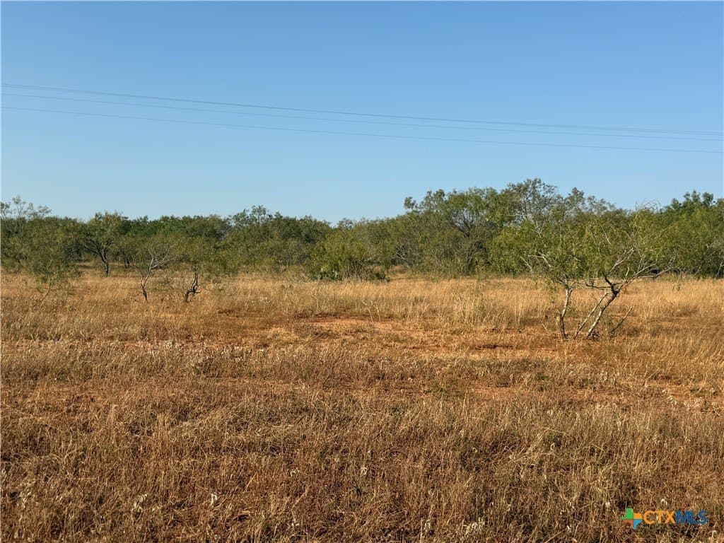 11.6 acres in Wilson County - photo 6