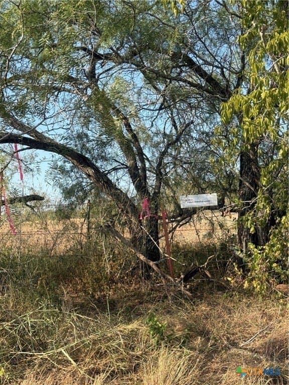 11.6 acres in Wilson County gallery image 2