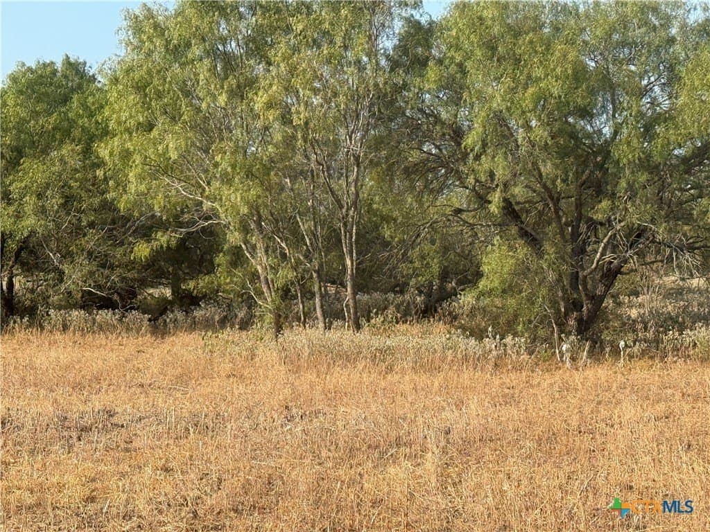 11.6 acres in Wilson County - photo 14