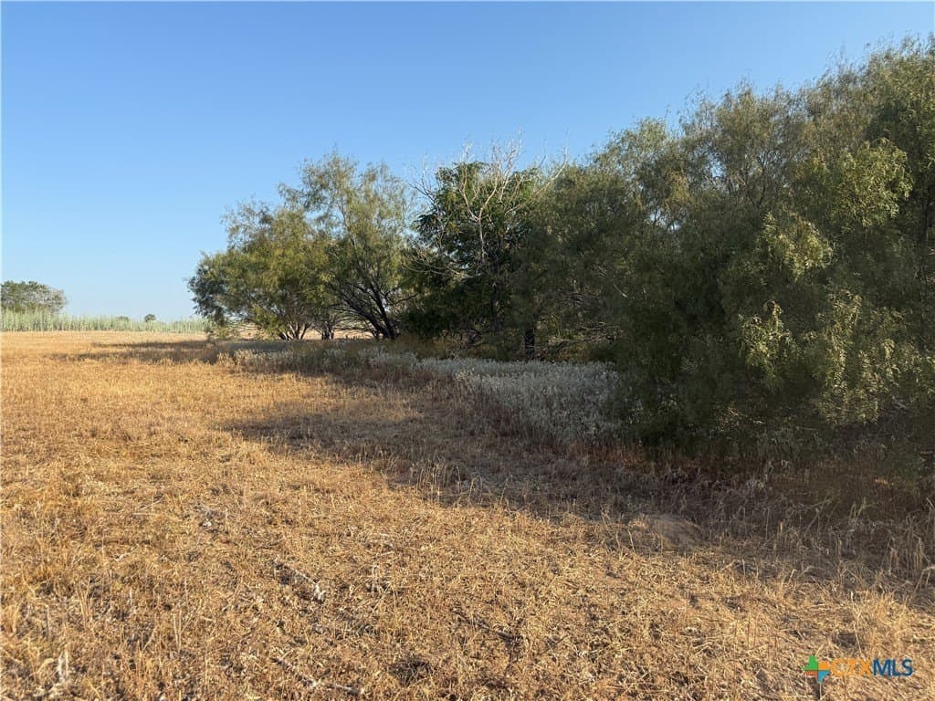 11.6 acres in Wilson County - photo 13