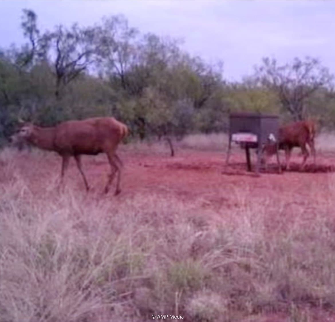 145.35 acres in Haskell County - photo 7
