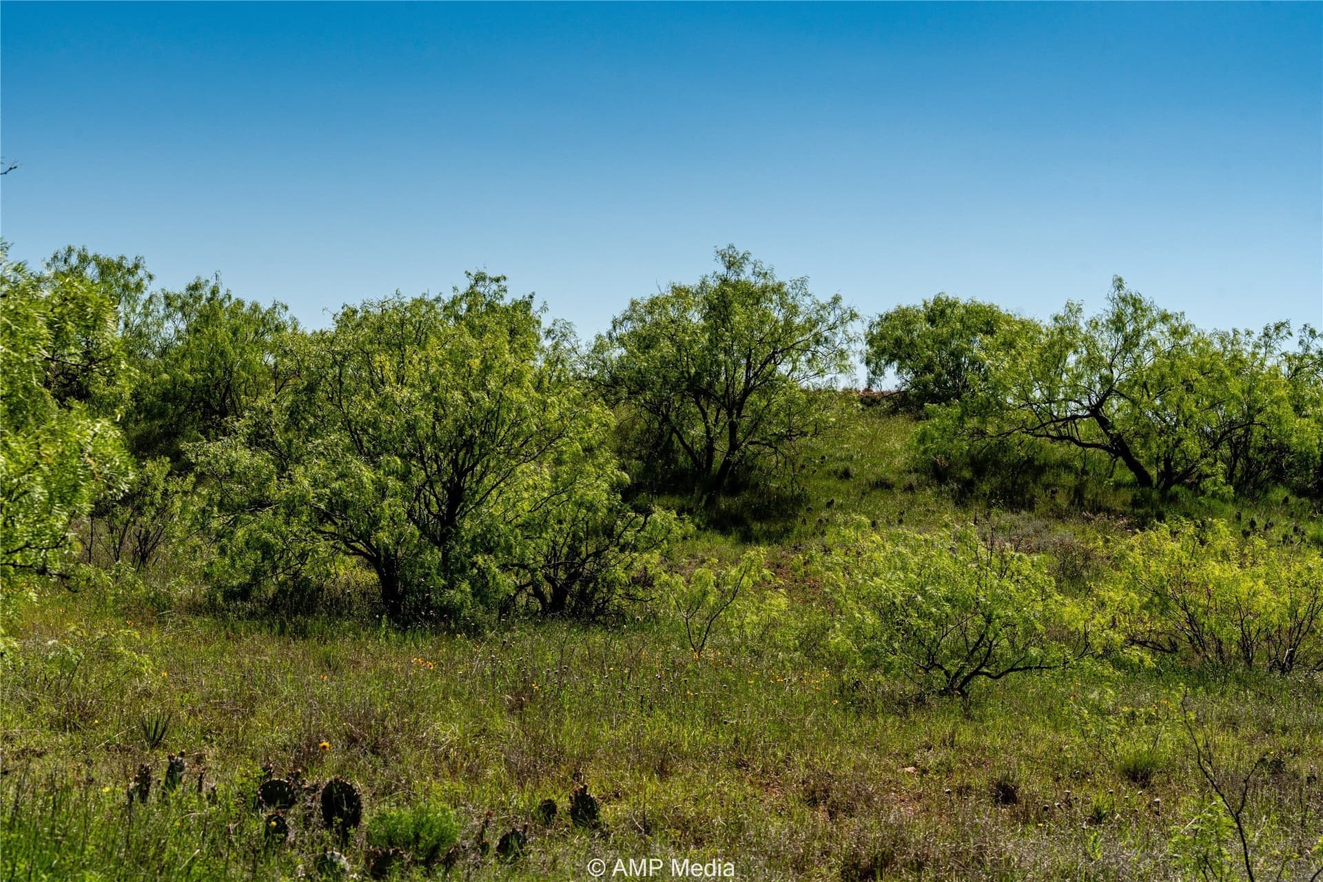 145.35 acres in Haskell County - photo 22