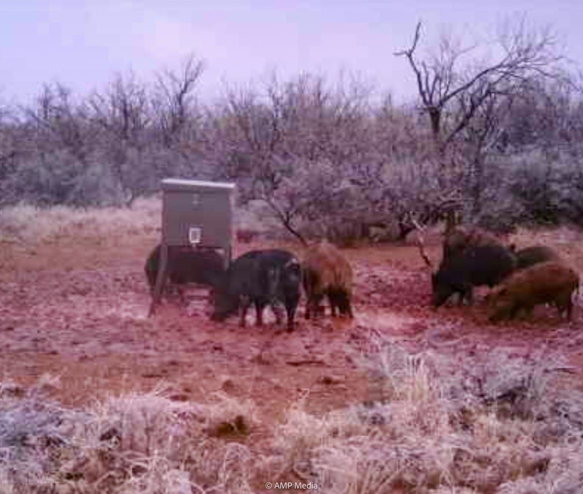 145.35 acres in Haskell County - photo 2