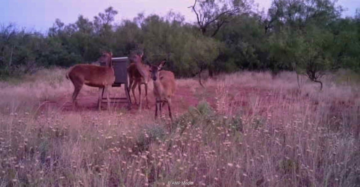 145.35 acres in Haskell County - photo 8