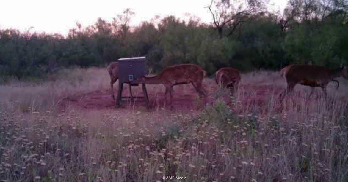 145.35 acres in Haskell County - photo 5
