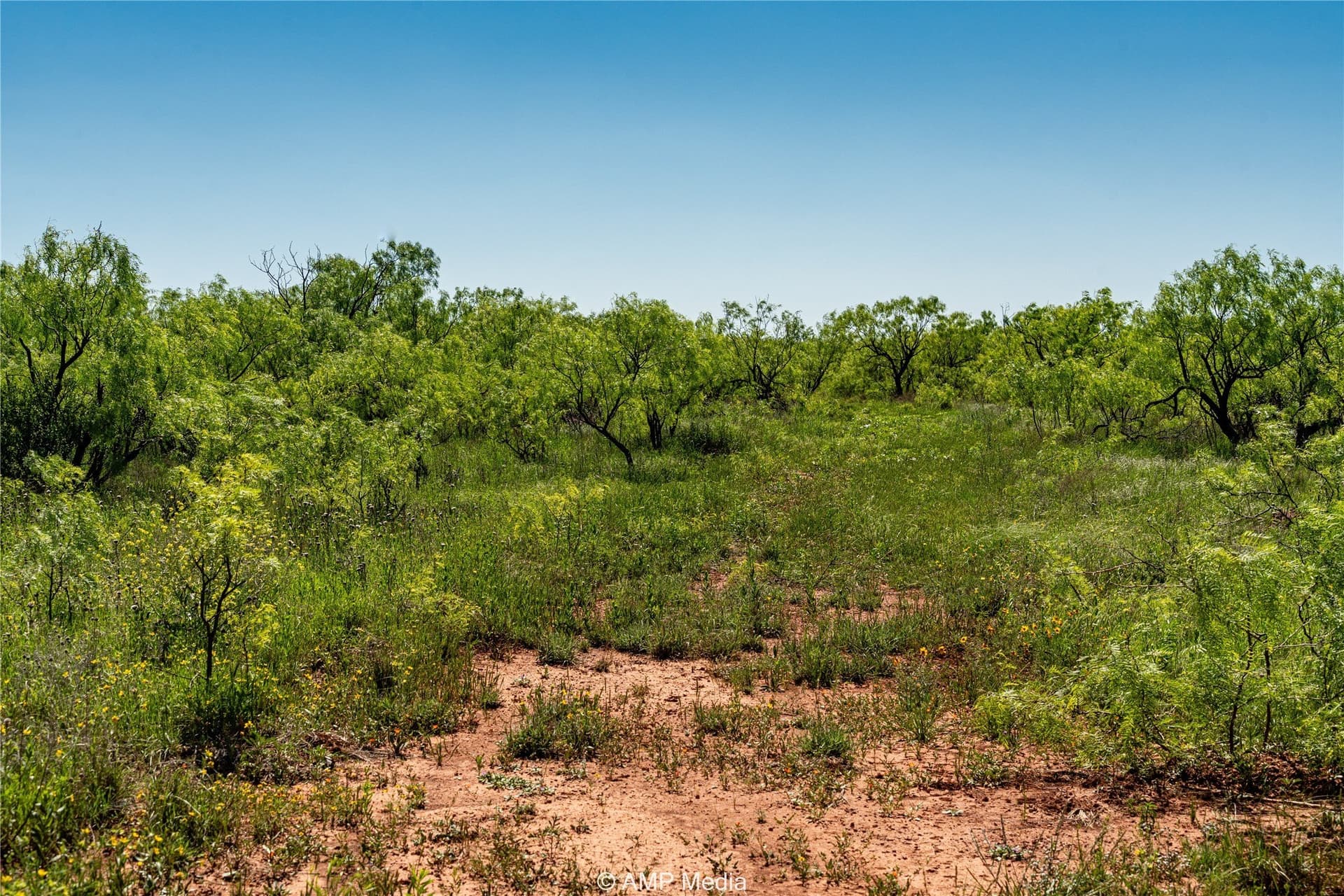 145.35 acres in Haskell County - photo 14